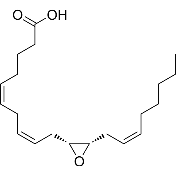 11R(12S)-EET 123931-38-4